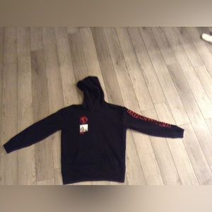 Black Hollister Hoodie (small)
